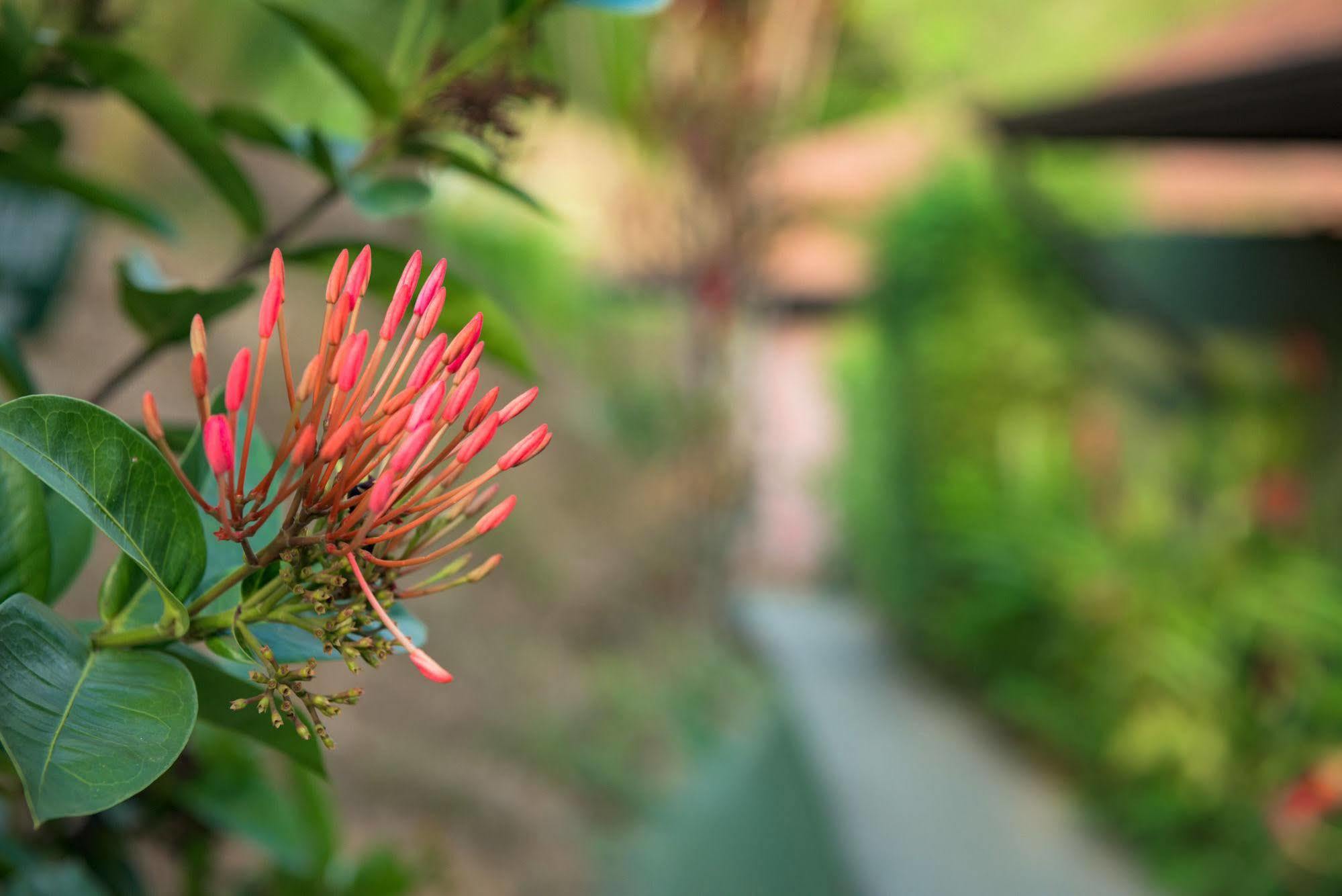 Tiki Villas Rainforest Lodge & Spa ウビタ エクステリア 写真